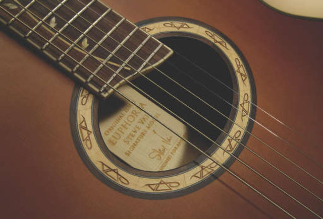 Ibanez EP9 Euphoria The EP9's wooden soundhole rosette